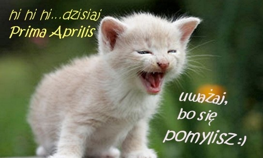 Kot śmiejący się w Prima Aprilis